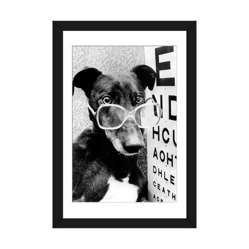 iCanvas "Greyhound Wearing Glasses February 1987" by Rue Des Archives - Black - 32x24x1