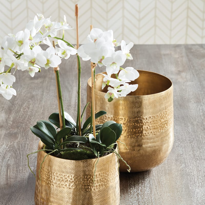 Phalaenopsis Orchid Mini Garden Drop-In 16" - White