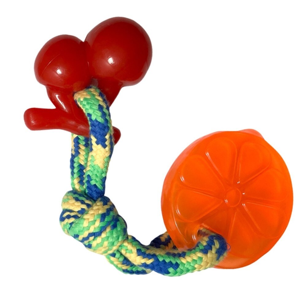2PK Thermo Plastic Rubber and Rope Fruit Pet Toy Bed Bath Beyond 38247288