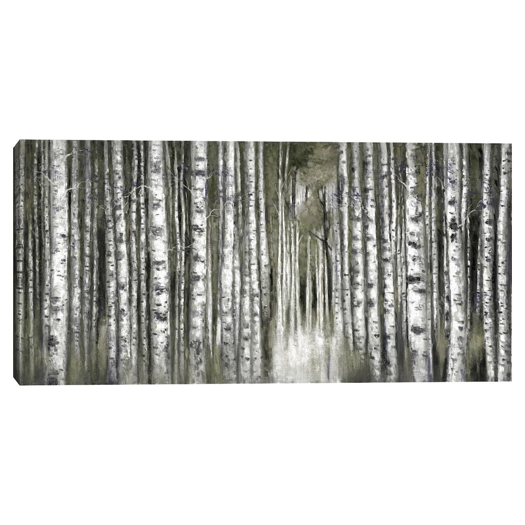 Birch Moment Grey by Sandy Doonan Canvas Art Print