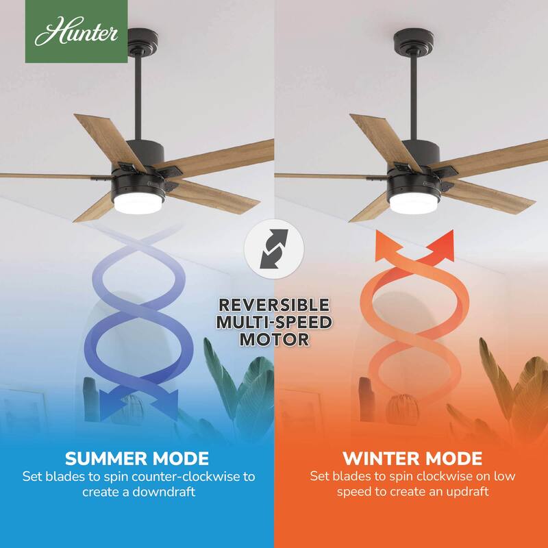 Hunter 52" Noble Bronze Ceiling Fan with LED Light Kit and Handheld Remote