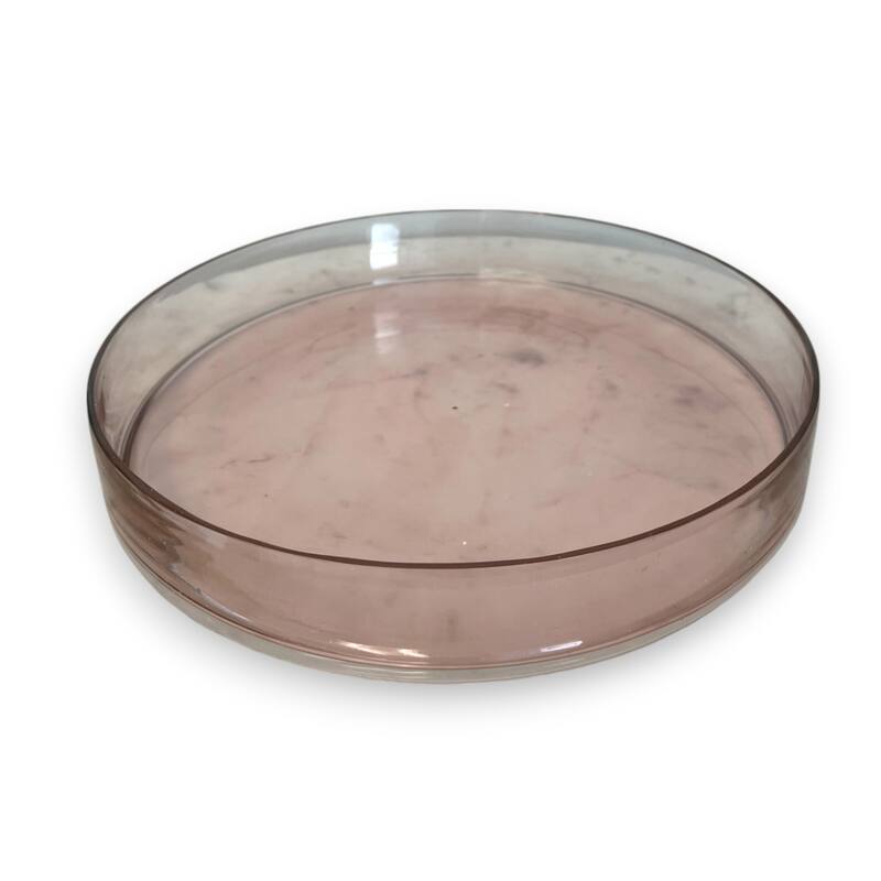 Cake Recycled Glass Dome w/Plate Dia 11.5" Light Pink