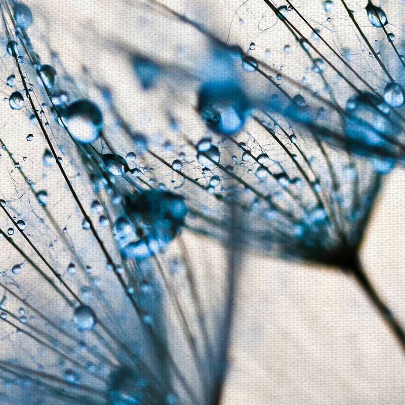 Mystic Blue by PhotoINC Studio Canvas Art Print