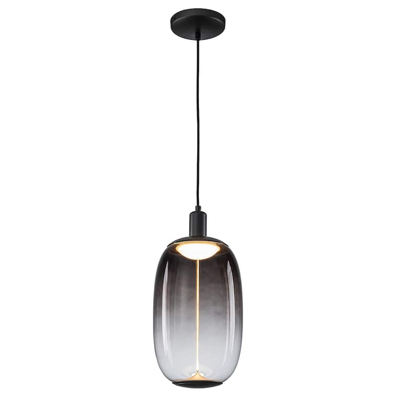 Smoke Gradient Clear Plastic LED Globe Pendant Light