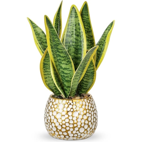 succulents pot Terra Cotta Pot for Cactus and Succulents- Clay Ceramic Pottery Planter with Drainage Holes main image 1