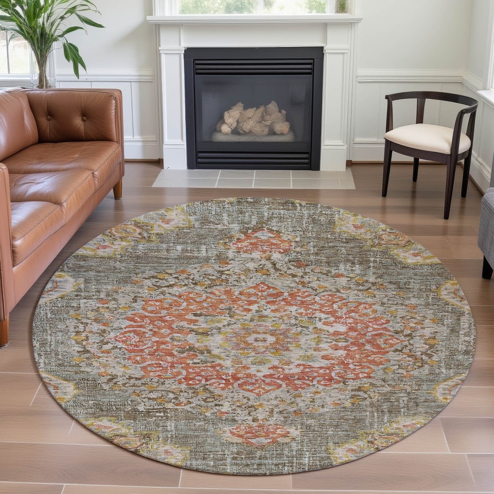 Premium Washable Super Soft Vintage Traditional Mayfield Rug