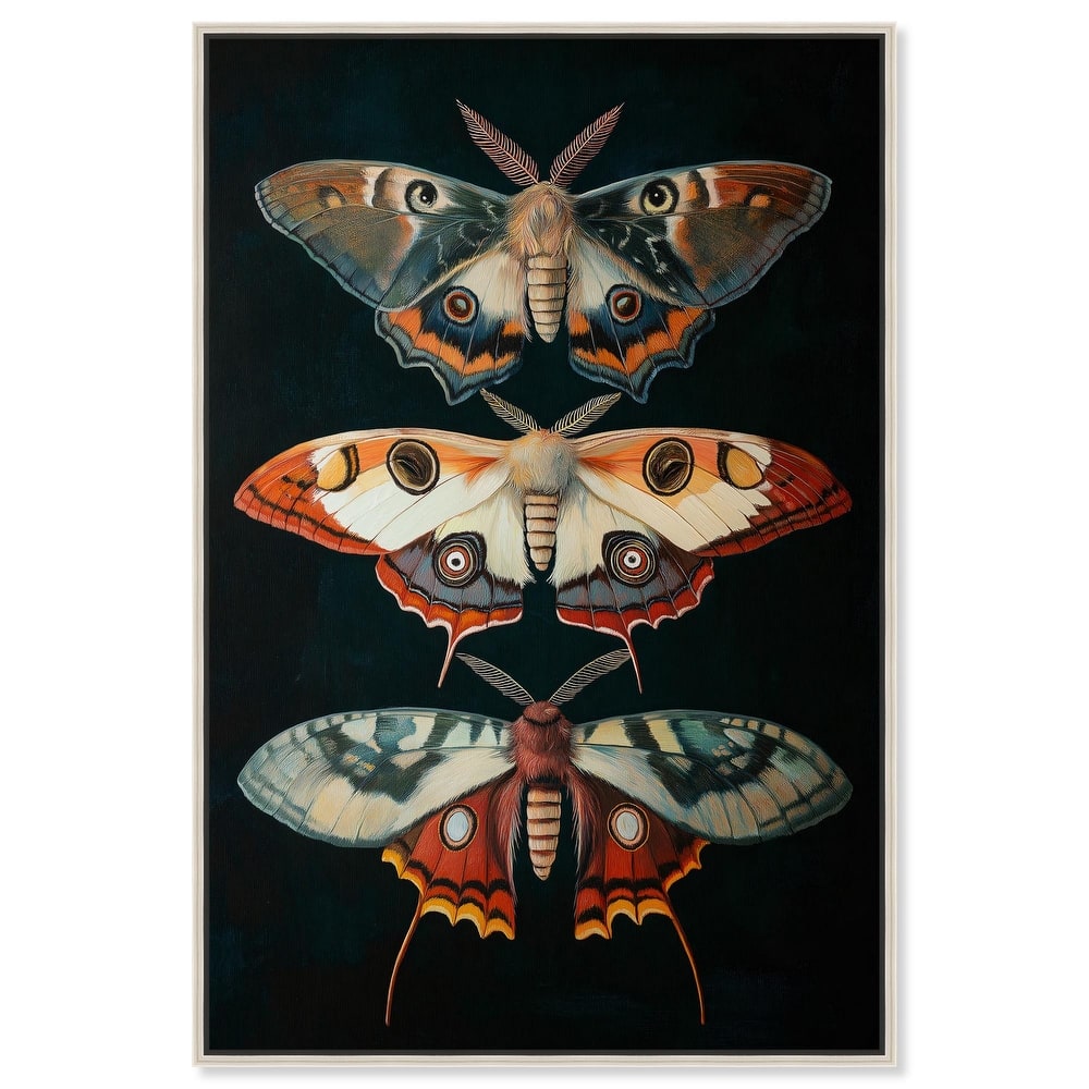 Void's Vivid Visitors Canvas by Art Remedy