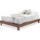 Option Oak