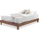 Option Oak
