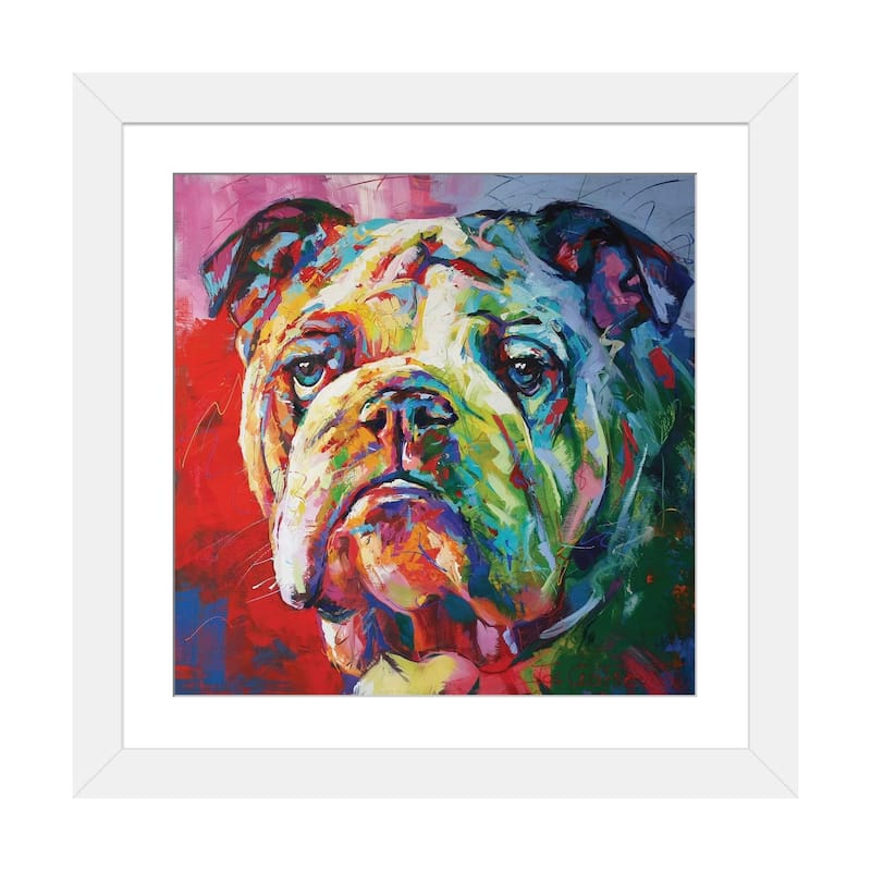 iCanvas "Bulldog" by Jos Coufreur - White - 16x16x1