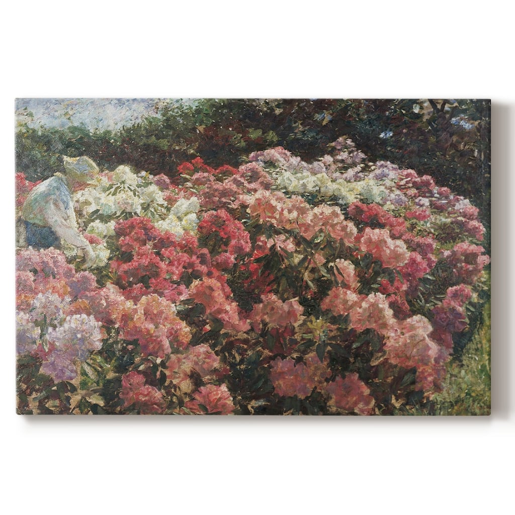 Vintage Botanical Print-XVI -Gallery Wrapped Canvas