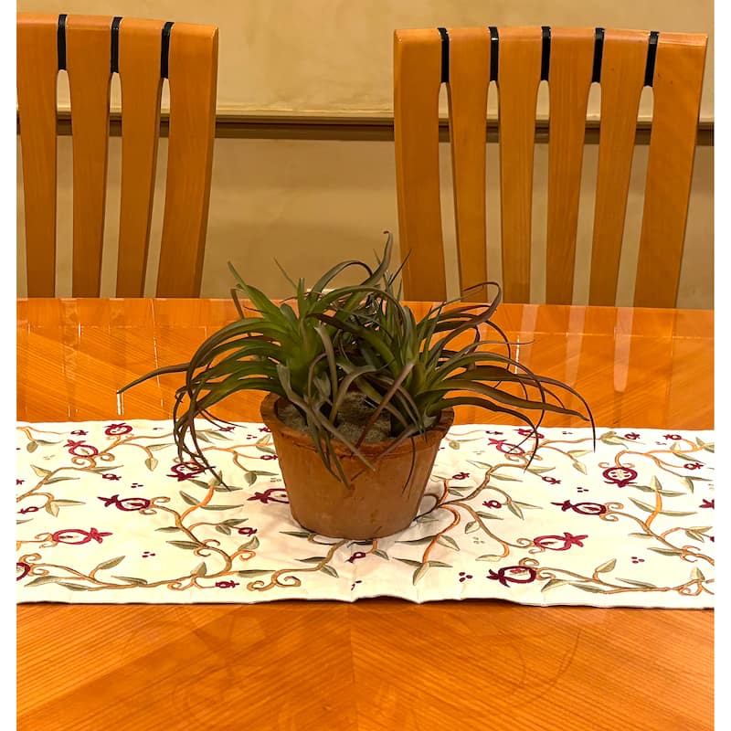 Succulent in 8" Terra Cotta Pot - Green - 9