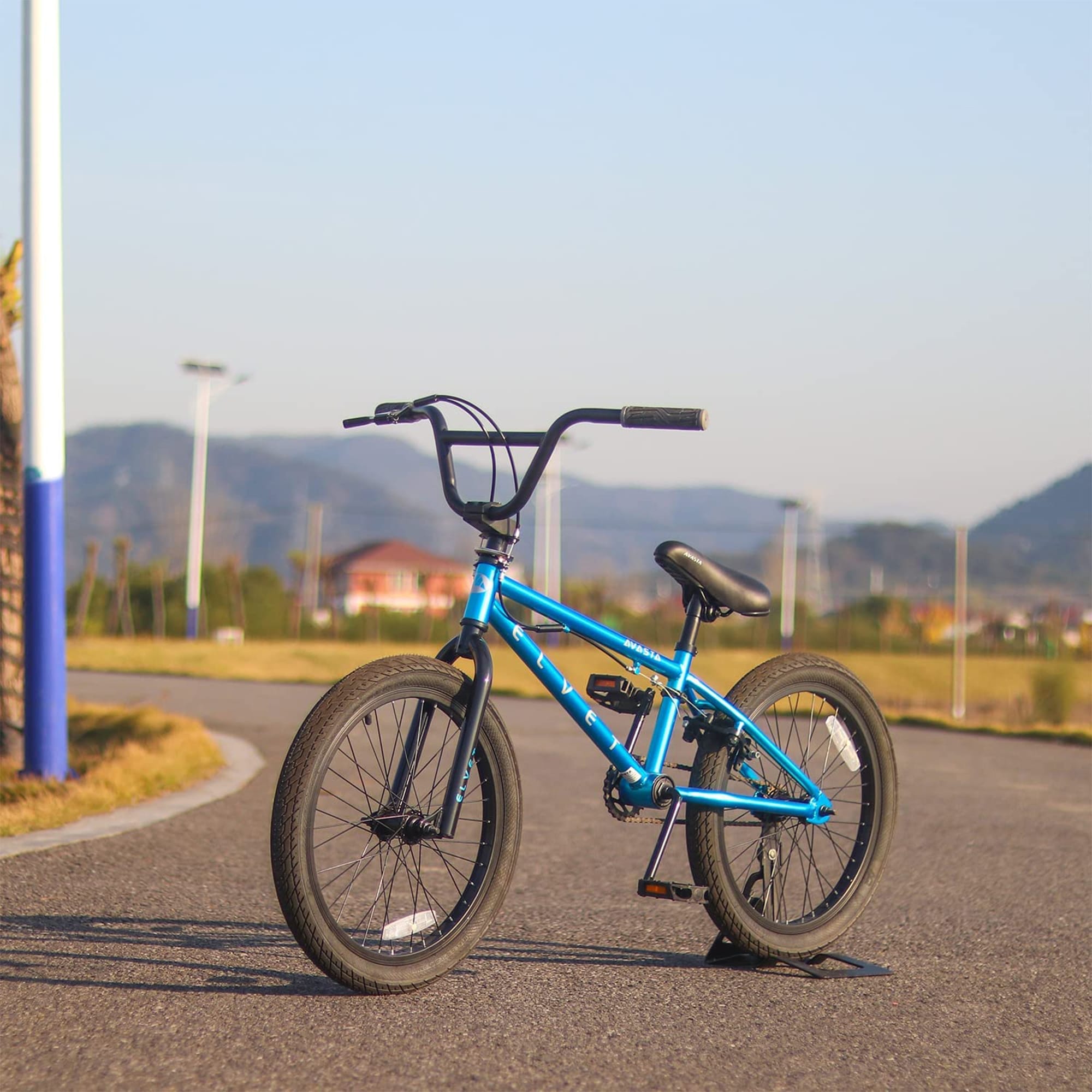 AVASTA 20 Inch Kid Freestyle BMX Bicycle for Beginner Riders, Ages