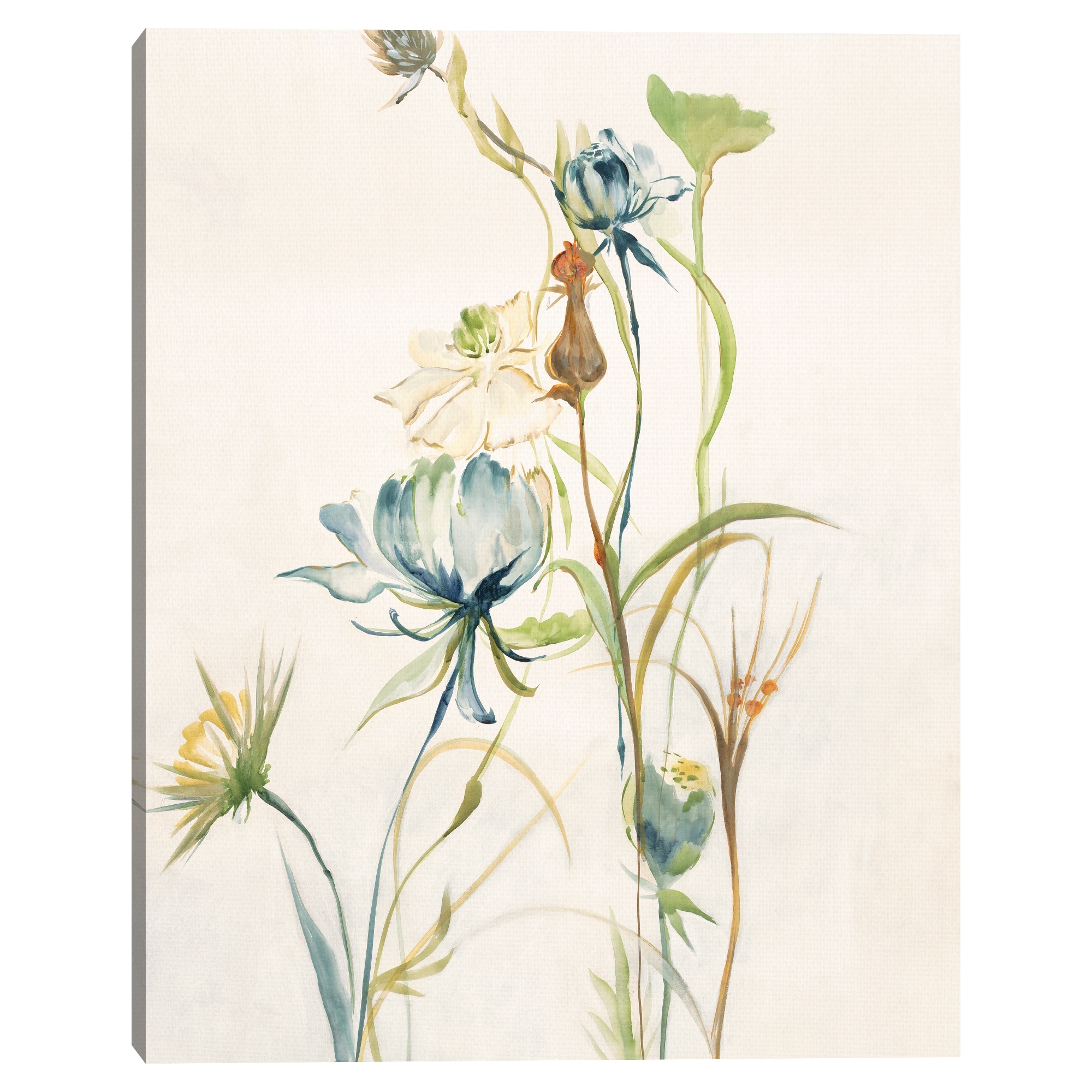 Late Summer Wildflowers II by Liz Jardine Canvas Art Print