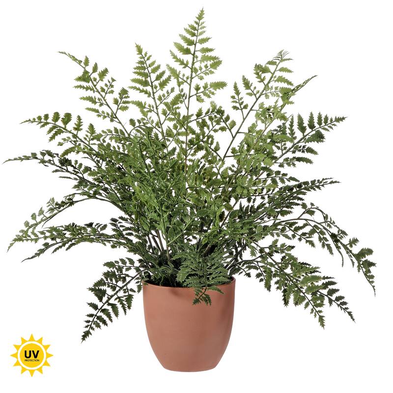 19" Potted UV Maiden Fern