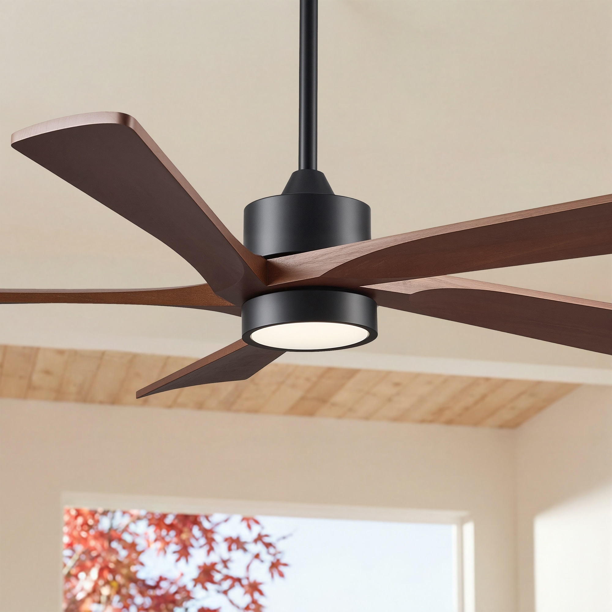 5 - Blade Transitional Modern Solid Wood Ceiling Fan with Dimmable LED Lights with Remote (52" - 60")
