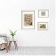 preview thumbnail 6 of 7, Kate and Laurel Sketches of Nature by Fry, Becker & Bosboom 3 Piece Framed Wall Art Print Set by Nostalgia Prints
