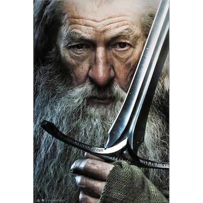 Lord of The Rings - Gandolf Art Poster - 24 x 36 Inch