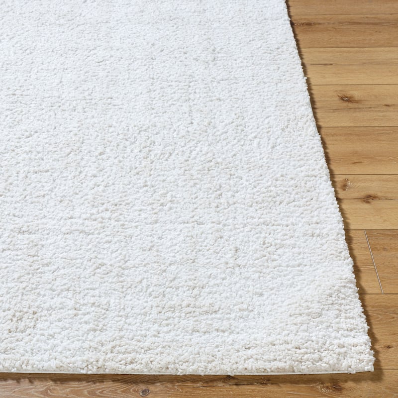 Livabliss Bohemian & Eclectic Sacramento Shag Ombre Area Rug