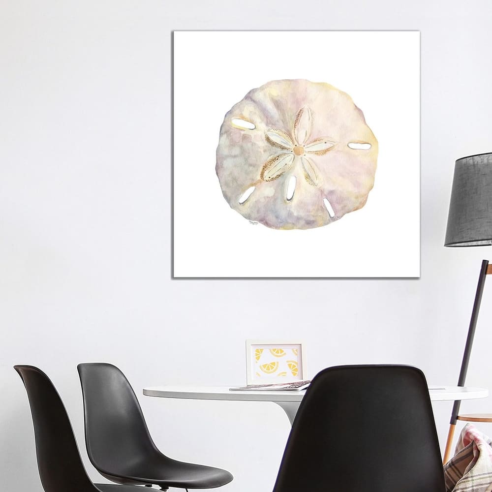iCanvas "Oceanum Shells White IV-Sand Dollar" by Tara Reed Canvas Print