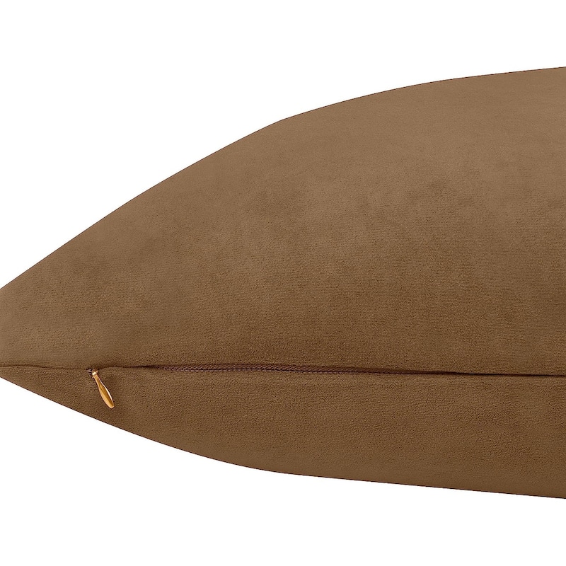Delara Pack of 1 Velvet Decorative Throw Pillow Cover 20x20 Inches, Cushion Cover, Soft and Breathable Fabric, Hidden Zipper