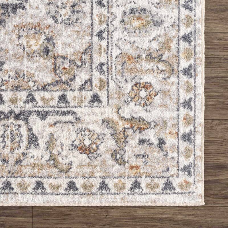 Hauteloom Manhattan Machine Washable Oriental Persian Medallion Vintage Distressed Area Rug