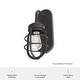 preview thumbnail 8 of 7, Hunter Starklake 1-Light Wall Sconce, Industrial, Caged, Rustic, Damp Rated
