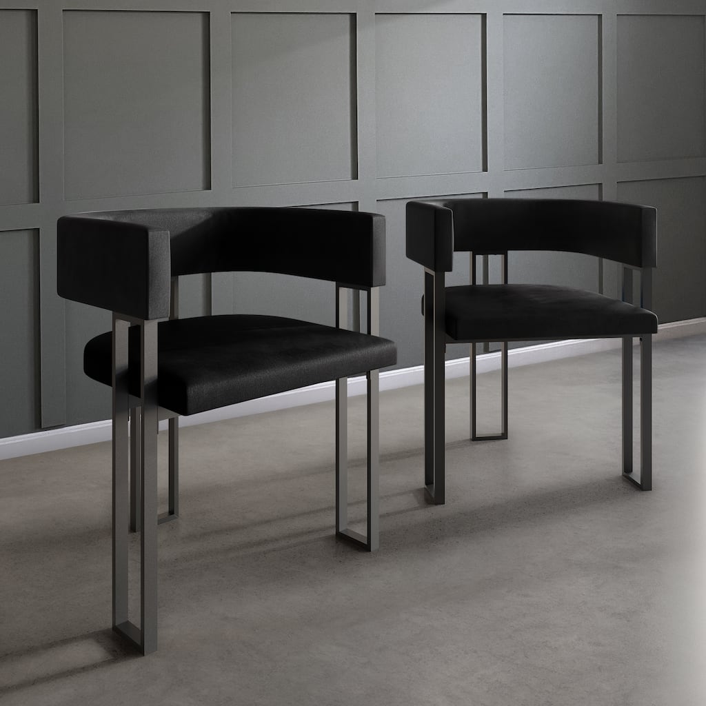 CraftPorch 2 Pieces Contemporary Dining Chair Set