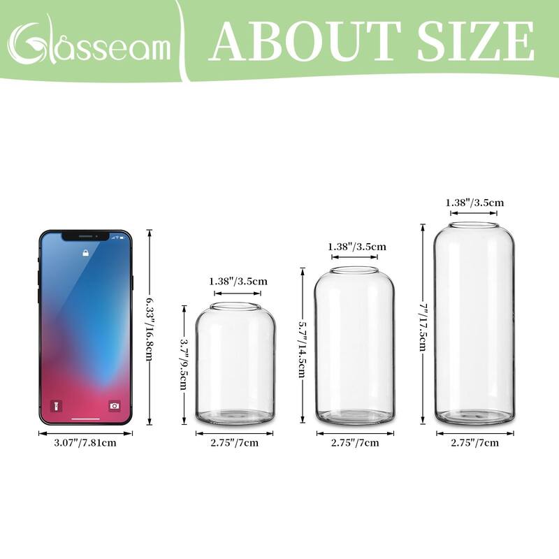 Glass Bud Vases for Centerpieces - Clear Small Flower Vase Decor Bulk Set of 12 Handmade Modern Decorative Vases