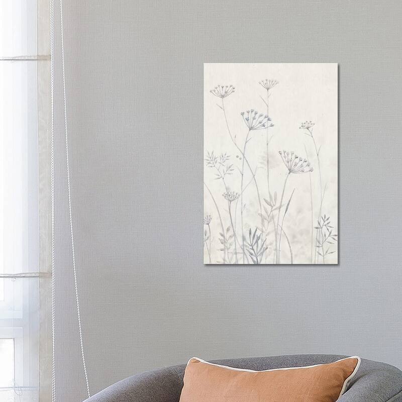 iCanvas "Neutral Queen Anne's Lace I" by Tim OToole Canvas Print - 26x18x1.5
