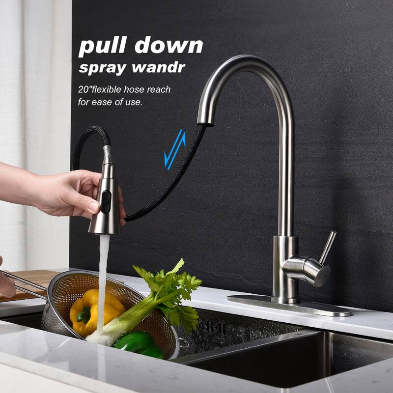 Stainless Steel Single Handle Kitchen Sink Faucet with Pull Down Sprayer - Brushed Nickel
