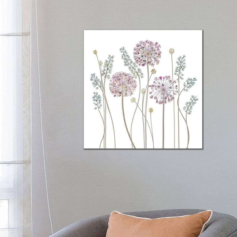 iCanvas "Allium" by Mandy Disher Canvas Print - 26x26x1.5