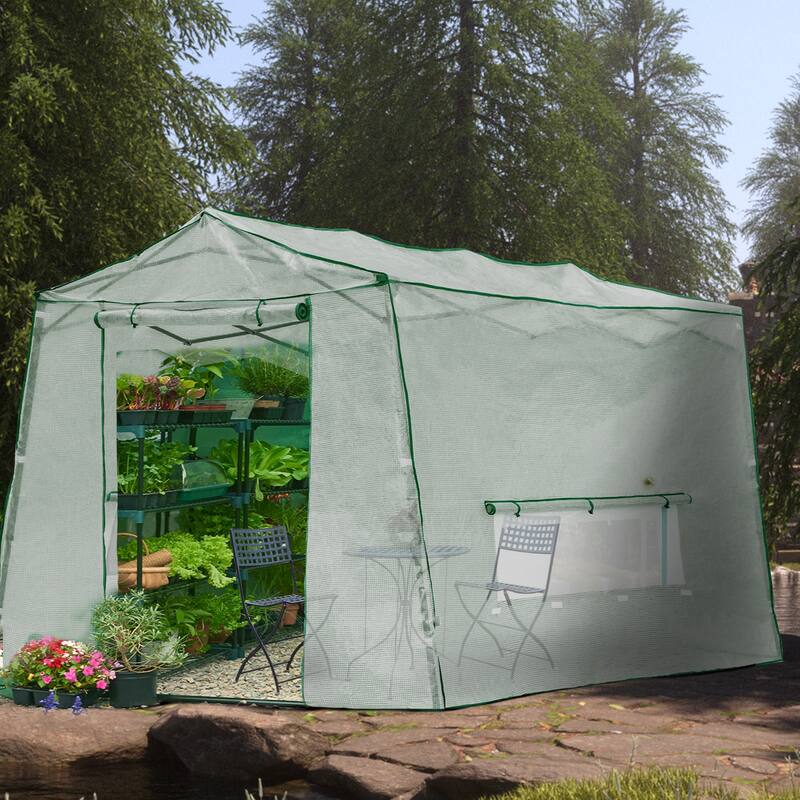 Cozywor Outdoor White Pop-up Walk-in Greenhouse