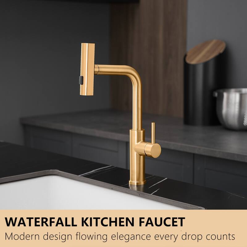 Kitchen faucet with pull-out sprayer