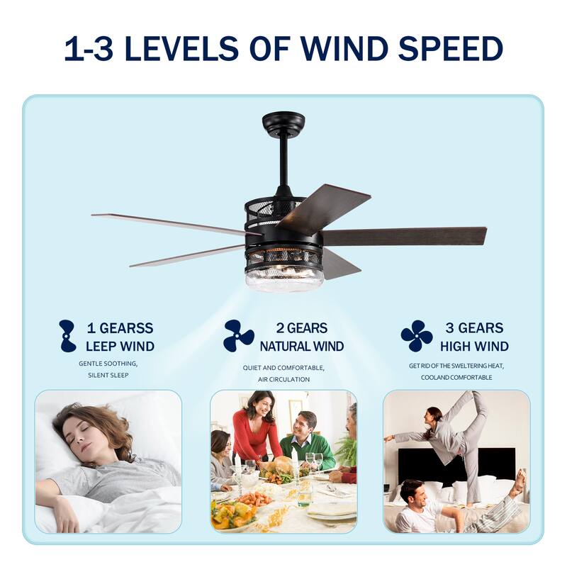 52-inch 5-blade Lighted Ceiling Fan with Remote Control,Glass Shade (Optional Remote) --Matte Black