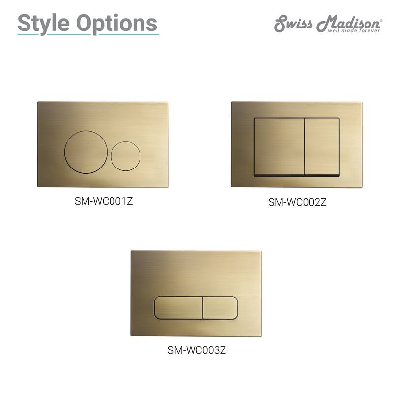 Wall Mount Dual Flush Actuator Plate with Rectangle Push Buttons