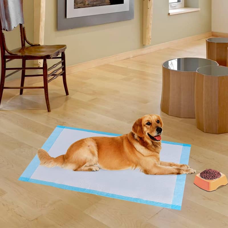 200 pcs 24" x 24" Pet Wee Pee Piddle Pad - 24" x 24"