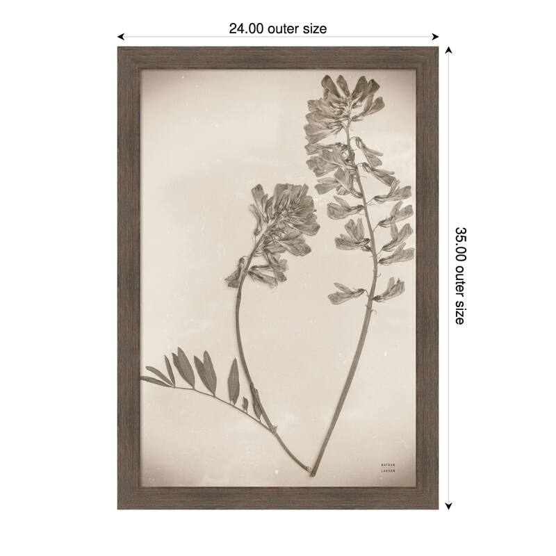 Wildflower Journal Vintage No. 6 by Nathan Larson Wood Framed Wall Art Print - 24 x 35 in - Brown