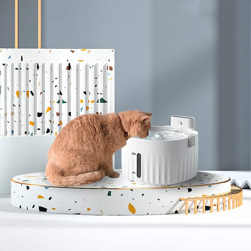 Automatic Pet Water Fountain, White