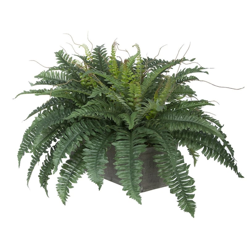 Faux Fern in Washed Wood Ledge Planter