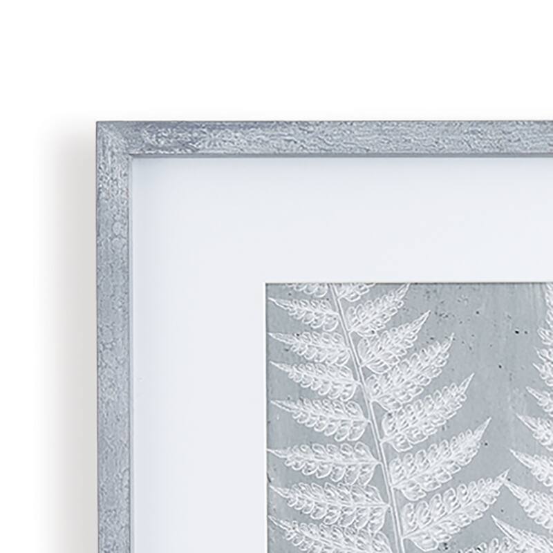 Fern Frond Prints