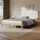 Option Ivory