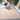 SAFAVIEH Courtyard Doreen Indoor/ Outdoor Waterproof Patio Backyard Rug