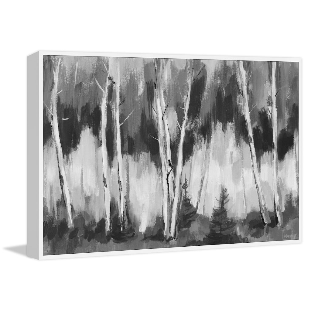 Shady Woods Floater Framed Print on Canvas