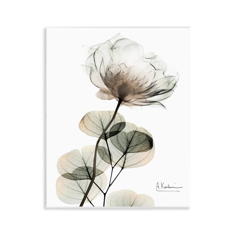 Stupell Simple Elegant White Flower Wall Plaque Art Design By Albert Koetsier - 11 x 14