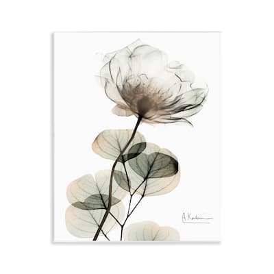 Stupell Simple Elegant White Flower Wall Plaque Art Design By Albert Koetsier