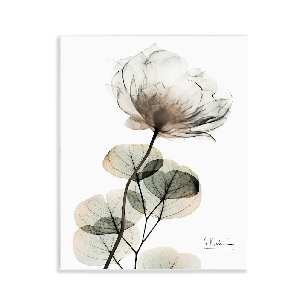 Stupell Simple Elegant White Flower Wall Plaque Art Design By Albert Koetsier