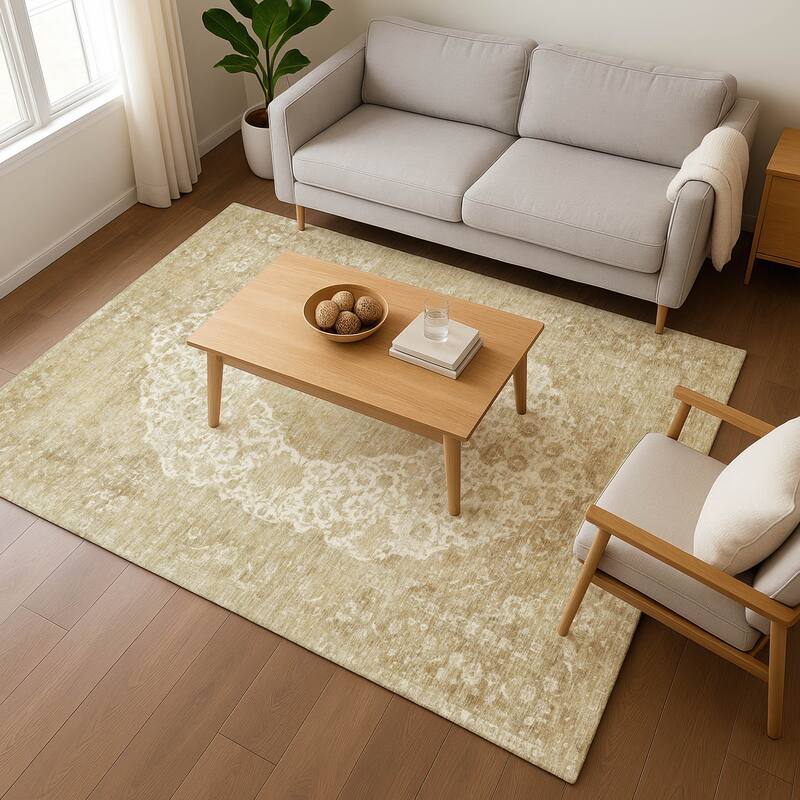 Premium Washable Super Soft Vintage Traditional Mayfield Rug