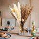 preview thumbnail 6 of 7, VECELO 51 pieces natural dry pampas grass decorations - 51 pieces