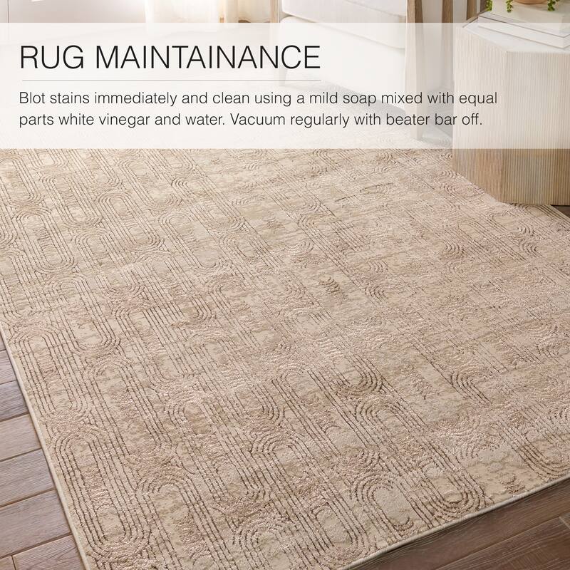 Gimeas Geometric Area Rug
